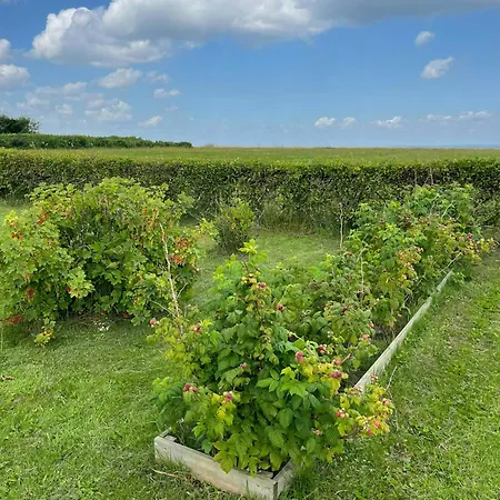 Hébergement de vacances Summer House With Wilderness Bath And Water Views Vinderup
